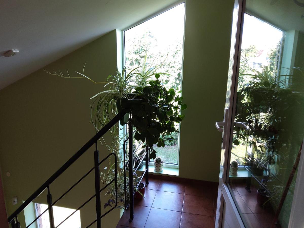 Apartamentai Geguciu Gatveje Klaipėda Exteriér fotografie